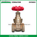 New Design Quality Bronze Gate Valve (AV4060)